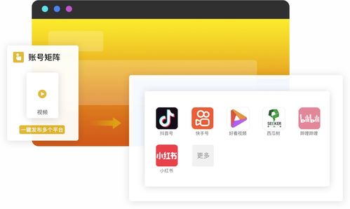 西瓜树 元引擎 视播系统,为企业打造一站式营销商务产品