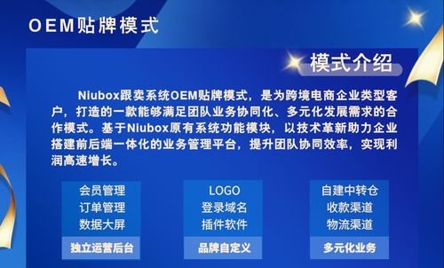 亚马逊跟卖助手工具与企业业务系统定制 双管齐下，提升电商运营效能